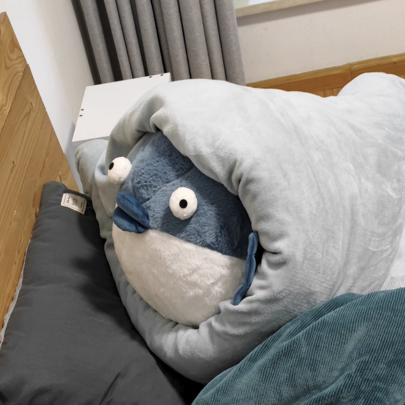 Bibig's Grocery Store Has Cute and Adorable Chubby Crocodile Plush Dolls, Pufferfish Pillows, and Birthday Gifts for Classmates Bibig's Grocery Store Has Cute and Adorable Chubby Crocodile Plush Dolls, Pufferfish Pillows, and Birthday Gifts for Classmates