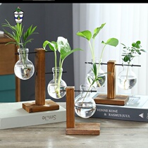 Nursery Plant Corner Water Bacon Bottle Small Green Basket Wind Shin Seed Balls Bamboo Vase Art Minimalist Little Potted Plant