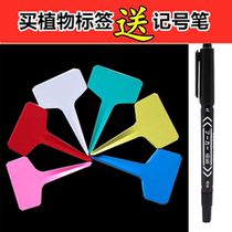 Horticulture Multi-meat labelling Broccoli Flowers Potted Plant Gardening Inserts Plant Tags Waterproofing Thickened Inserts tools