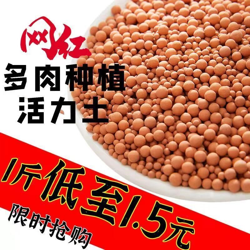 Vitality soil succulent special granular nutrient soil pavement ceramsite multi-component soil planting mixed soil breathable net red potting soil
