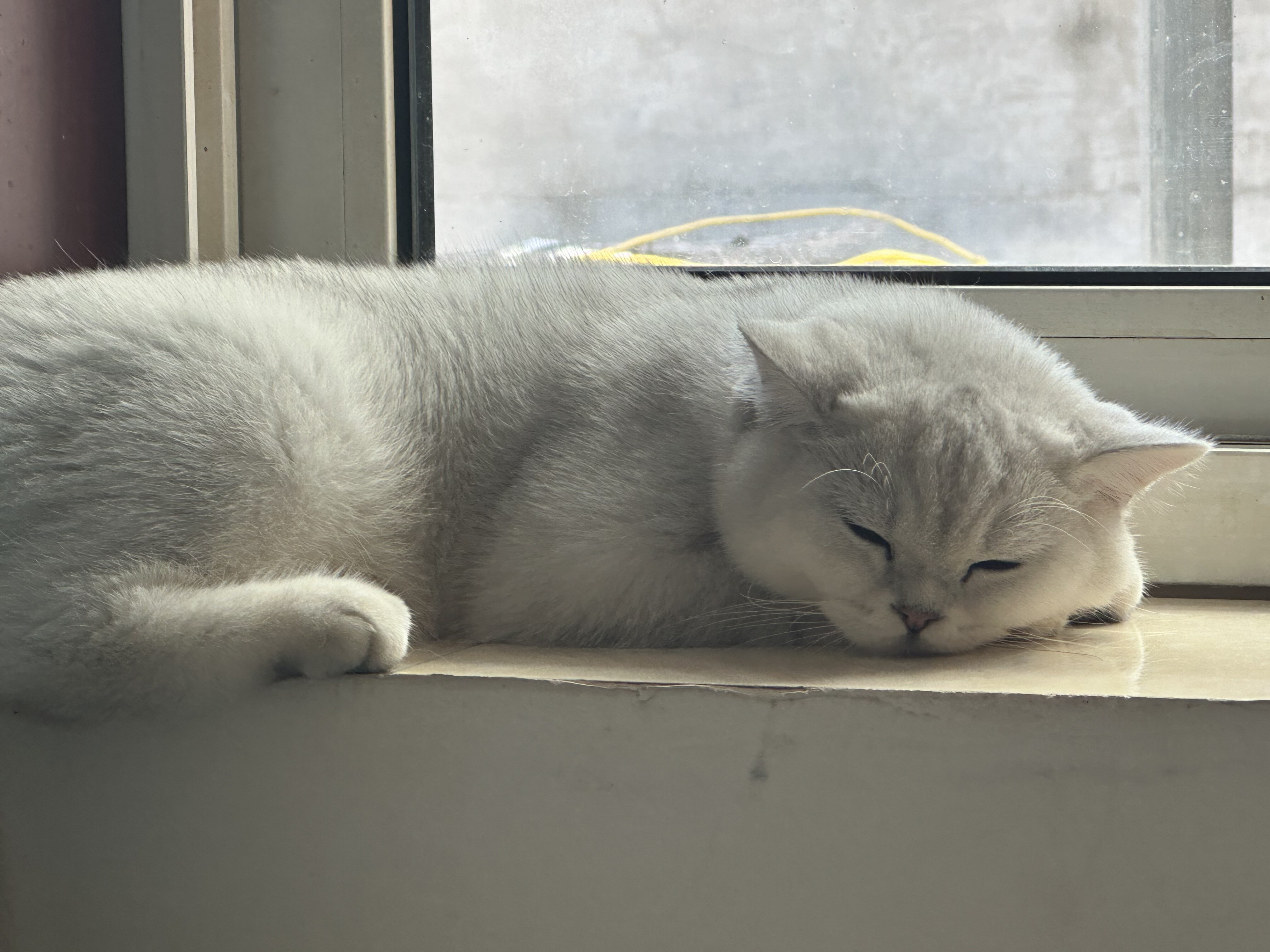 小宇数码耳机店