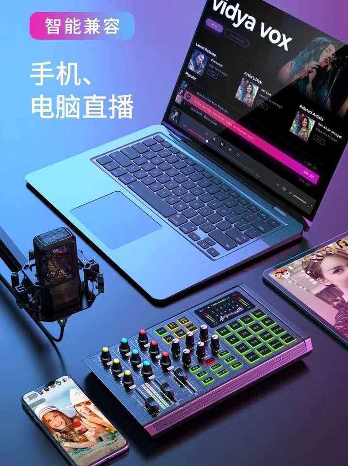 k歌/直播声卡套装 纽曼809专业调音台声卡套装直播录音k歌麦克风特效手机电脑主播 Newman