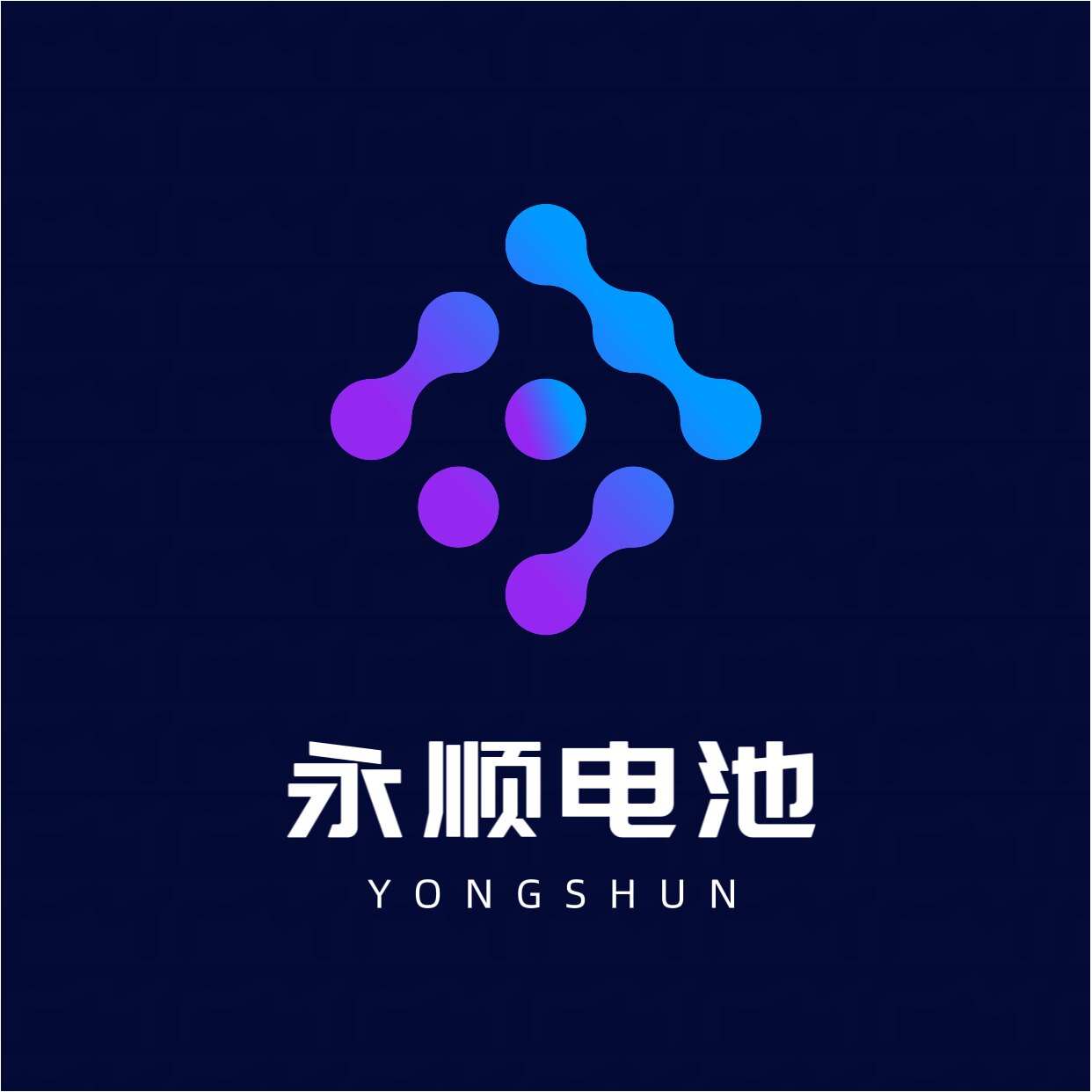 永顺电池