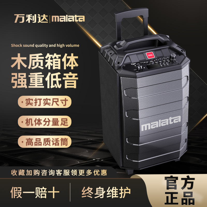 Vanlida Acoustics Outdoor Speaker K Song Square Dance Sound Mobile Sound Lalever Speaker Bluetooth Home Singing