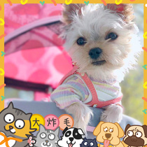 Buddy Belts Canada Bb Chest Back Import Artisanal Genuine Leather Pet Vest Style Traction Coral Powder