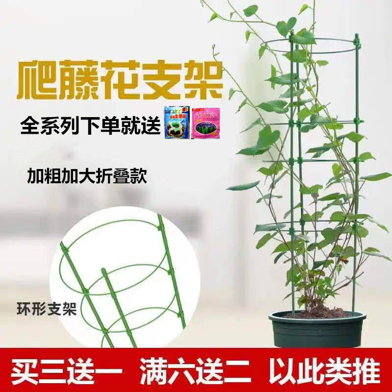 Climbing Shelf Flower Shelf Foliage Plant Flowers Fixed Kickstand Lunar Season Gold Gge Pot Holder Indoor Green Plant Climbing Rattan Shelf