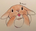 奶兔宝宝