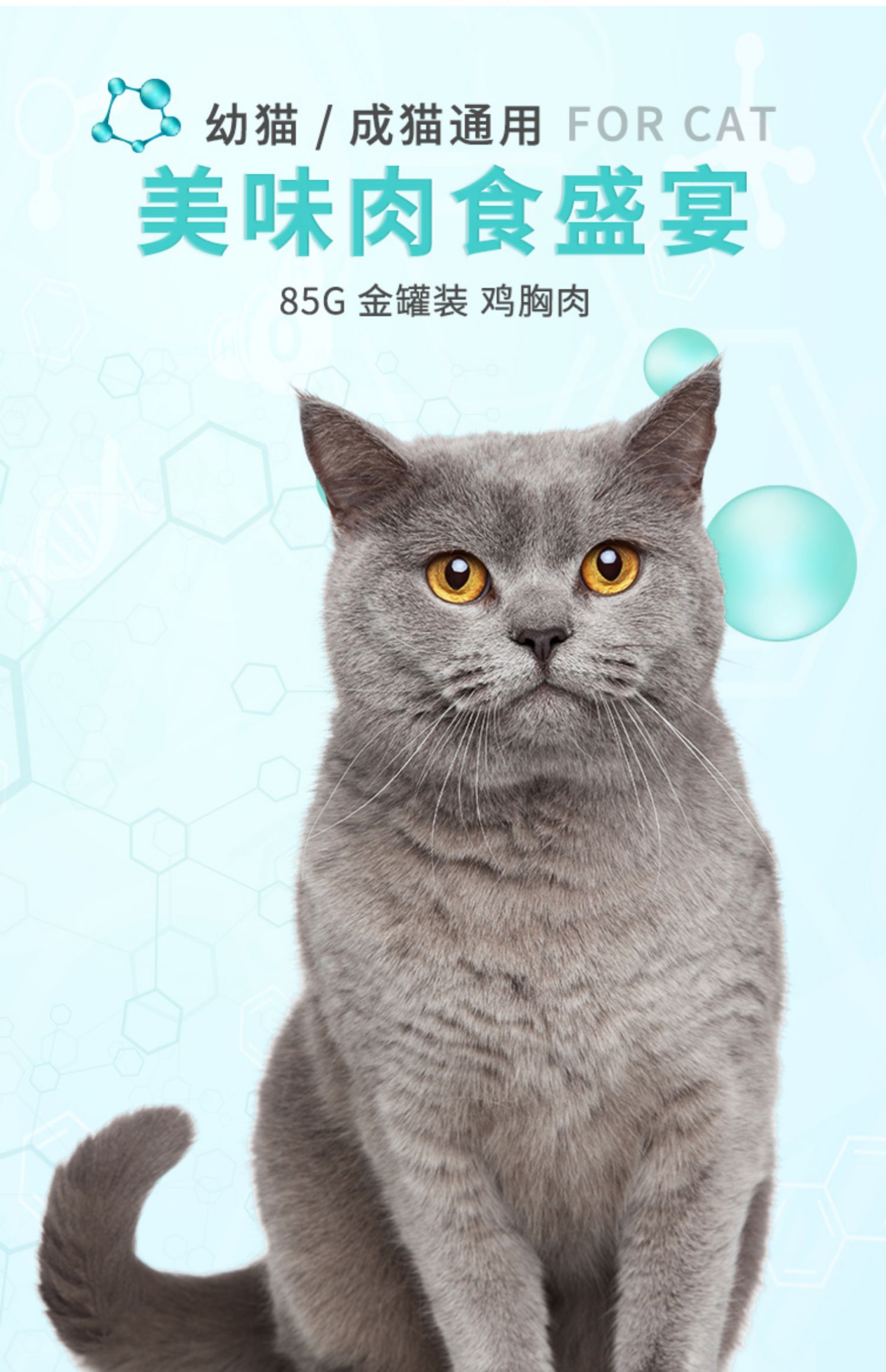 Mèo thịt trắng đóng hộp 85g * 12 lon thức ăn chủ yếu vào mèo và mèo ăn nhẹ thức ăn ướt dinh dưỡng vỗ béo đầy đủ hộp đặc biệt - Đồ ăn nhẹ cho mèo catsrang