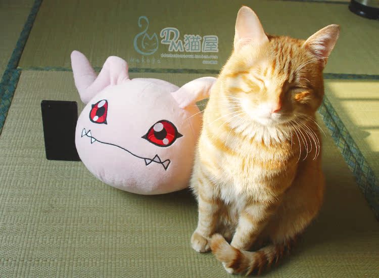 Peluche manga DM   en peluche Digimon - Ref 2695156 Image 22