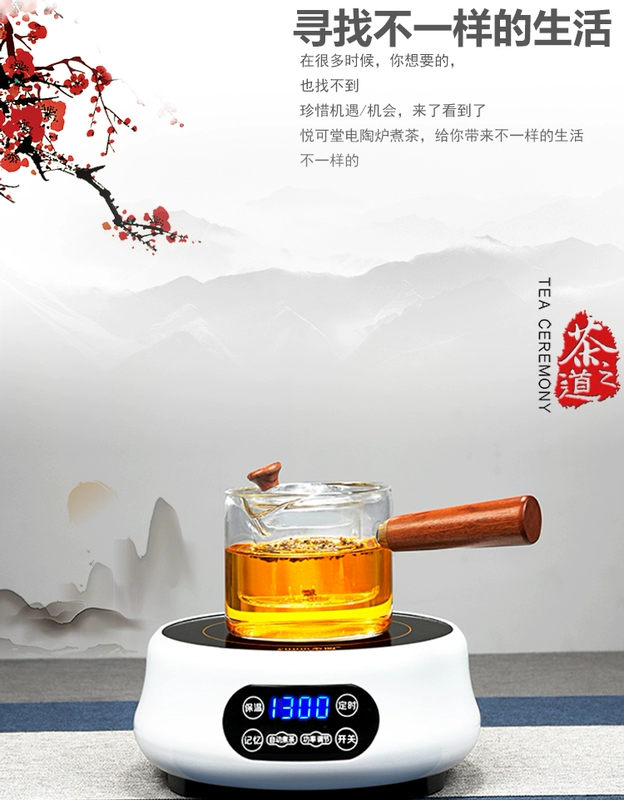 Bếp điện từ bếp điện cực nhỏ, bếp điện nhỏ, bếp nhỏ, bếp cảm ứng - Bếp cảm ứng