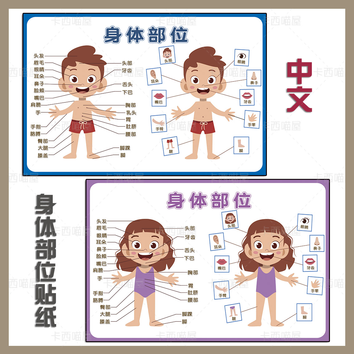 中文兒童身體部位認識身體五官器官早教學習啟蒙海報貼紙牆貼