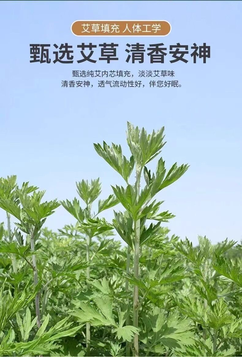 Подушка 艾草护颈枕头助睡眠骨头枕家用多功能纯艾灸枕睡觉专用艾叶颈椎枕