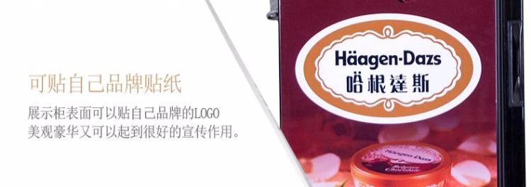 Tủ đông dọc Hiển thị Tủ đông Gia đình Mini Cửa kính nhỏ Thương mại Haagen-Dazs Kem Kem Tủ đông - Tủ đông tủ lạnh đông đá