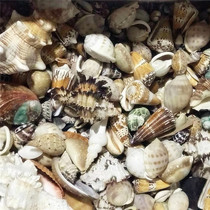 Clearance sale 25 a catty 500 grams of random weighing do not pick up do not pick up