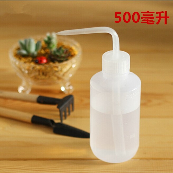Thêm công cụ trồng thịt thả ấm kết hợp đặt hoa mini làm vườn cung cấp công cụ bầu thịt - Nguồn cung cấp vườn chậu trồng rau