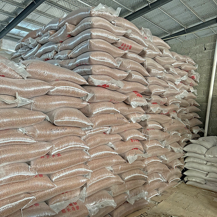 50 pounds of red sorghum feed pigeons with shell bird food pigeons and pigeons to feed pigeons