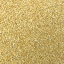 New yellow millet with shell millet tiger skin Peony Xuanfeng small and medium-sized parrot bird food bird food bird feed 50 pounds