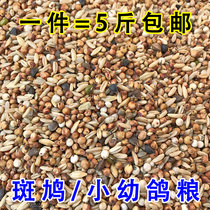 Turtledove small pigeons Young pigeons Ornamental pigeons Meat pigeons Adult pigeon food No corn no peas Pigeon feed 5 pounds