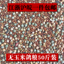 50 catties of pigeon grain without corn pigeon grain nutrition feed bird food pigeon ornamental pigeon meat Pigeon Pigeon young pigeon grain