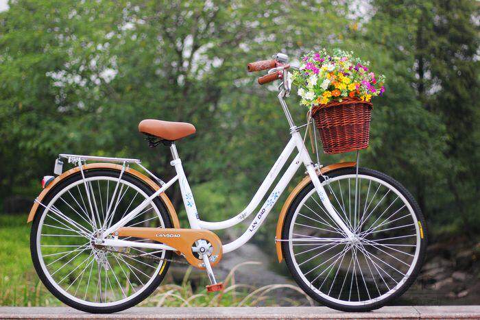 Panier pour vélo en vigne - Ref 2257523 Image 38