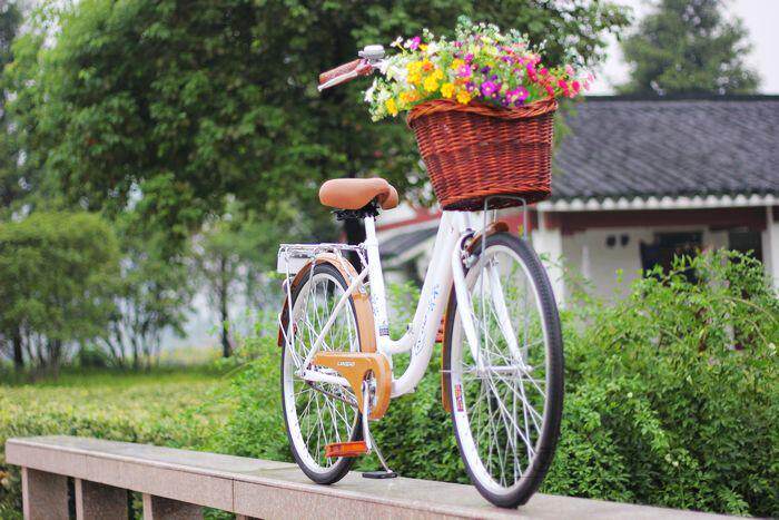 Panier pour vélo en vigne - Ref 2257523 Image 41