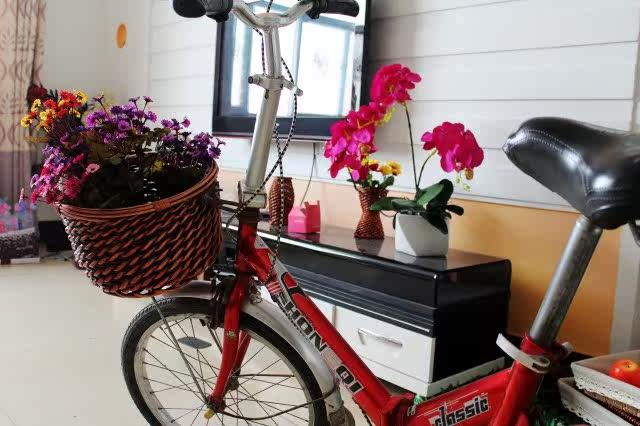 Panier pour vélo en vigne - Ref 2258059 Image 34