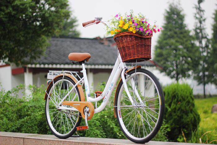 Panier pour vélo en vigne - Ref 2257523 Image 37
