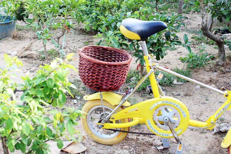 Panier pour vélo en vigne - Ref 2258059 Image 20