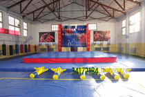 KS730 Overall Scattering Taiwan Standard Competition Venue 8 * 8 * 0 8m Martial Arts School Gymnasium Training Conrad
