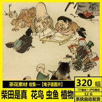 Shibata is a real high-definition electronic picture Japanese Ukiyo-e flowers birds insects and fish plants copy decorative painting core material