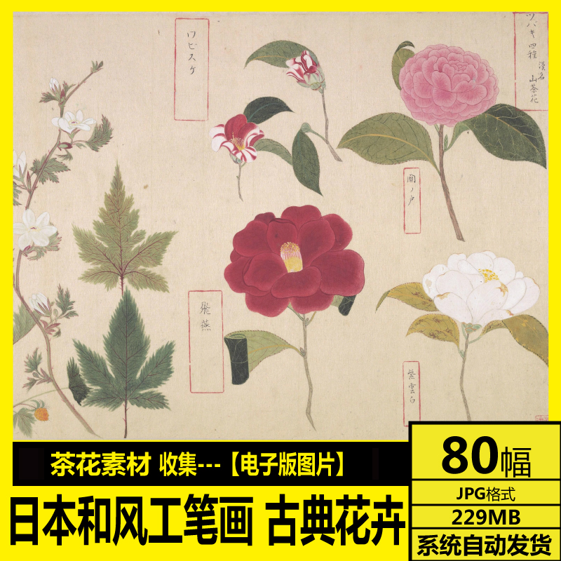 Japan and wind work stroke classical floral writing plant decoration painting hanging picture high-definition electronic picture material-Taobao