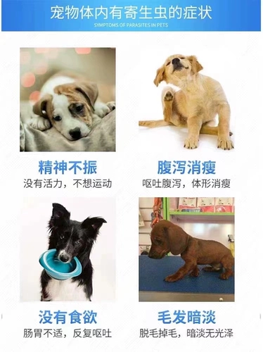 Beast Better -petswet Pet Pet Pets упаковывает свинью свиньи, корову, овца, утиная гусь, голубиное кроличье тело внутри и снаружи тела