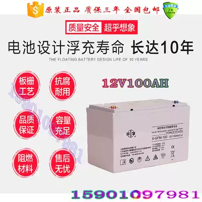Double 12V100AH battery UPS EPS DC screen special lead-acid maintenance-free battery