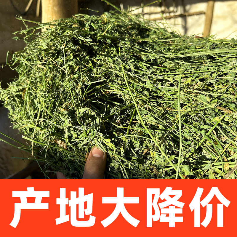 2025 New Alfalfa Hay for Feeding Cattle, Sheep, and Deer; Grass for Sheep; Large Zoo Feed