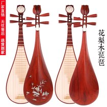 Pipa musical instrument Rosewood children beginner grade adult pipa musical instrument performance mahogany pipa factory direct sales