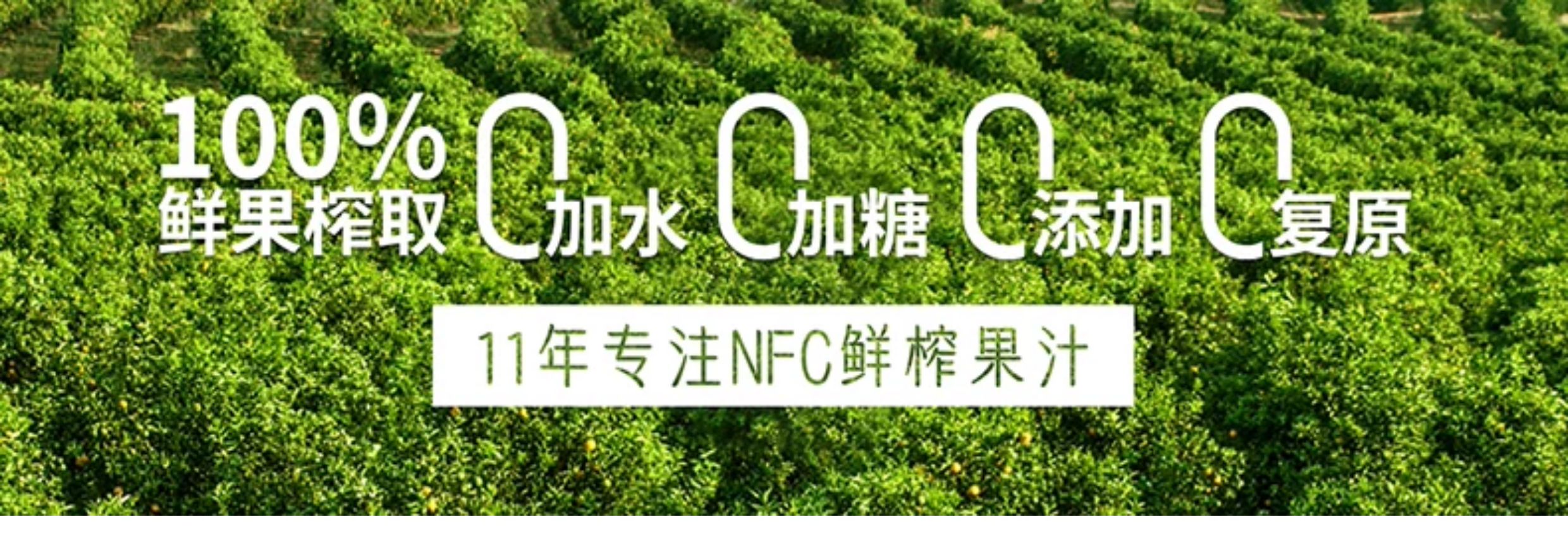 安享好物 安享B级果汁-零度·果坊nfc 鲜榨蓝莓草莓  