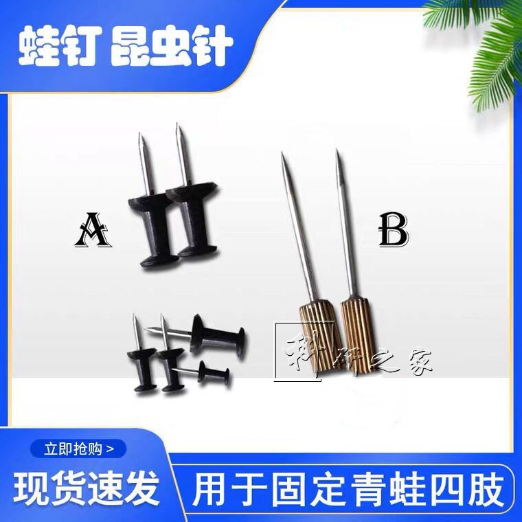 铜柄塑料木板蛙钉固定针蛙板小动物软木扎钉板青牛蛙手术解剖定板