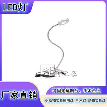 小动物(大小鼠青蛙兔子)解剖实验照明灯 LED调光调色探照灯