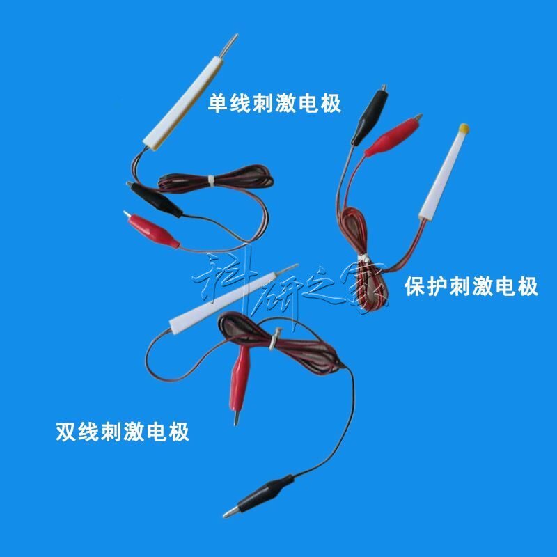 生物刺激实验保护电极 双线单线实验器材电极 教学用电极