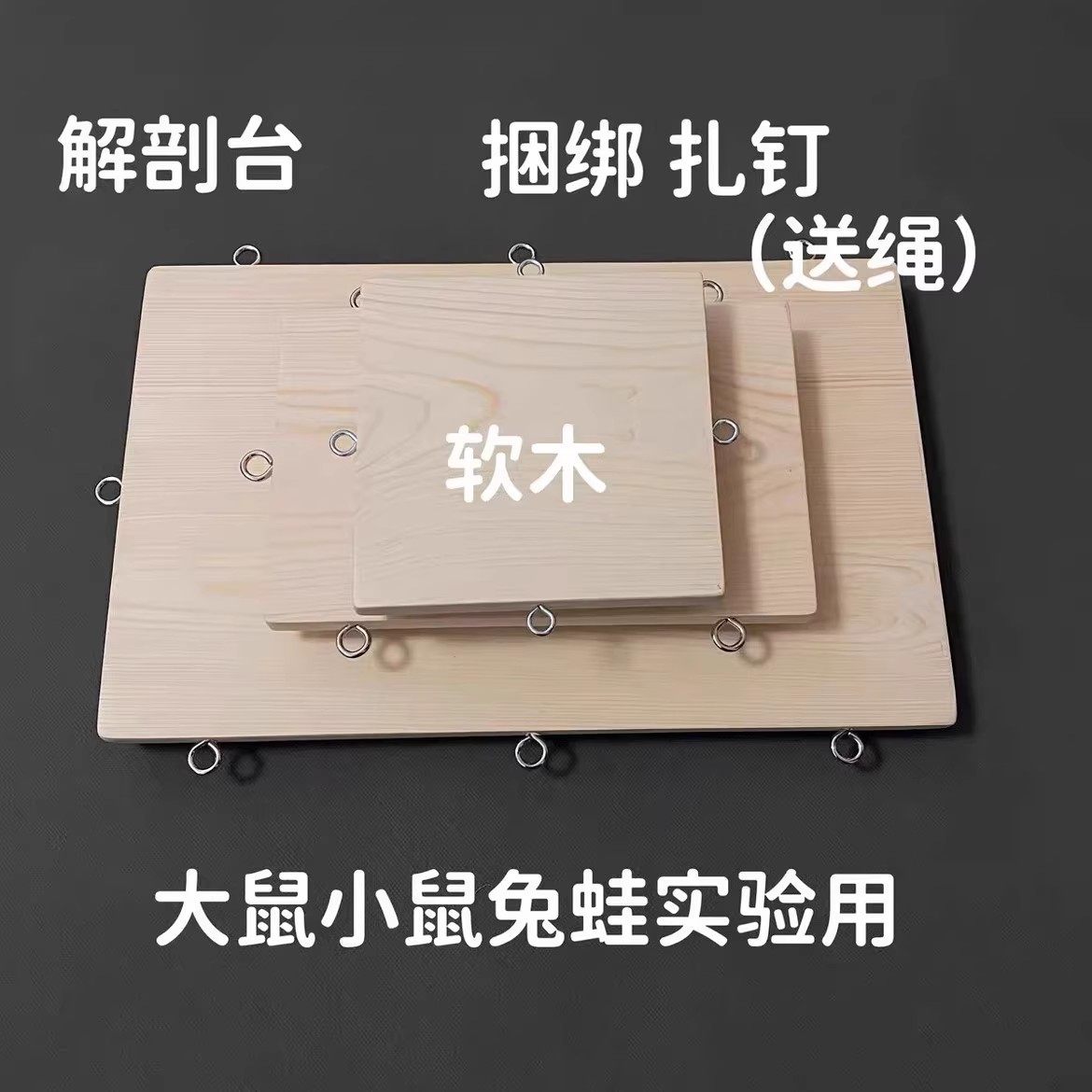 小鼠大鼠解剖手术台兔子软木固定板教学用动物实验器材