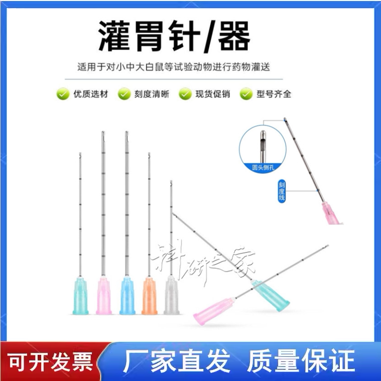 小鼠灌胃针 大鼠灌胃器 老鼠灌胃针 小动物灌药器 侧开口灌药器
