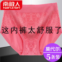 Nanjiren plus size underwear female fat MM200 catties high waist lace plus fat sister modal cotton middle-aged and elderly mothers