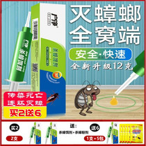 Cockroach Drug Home One cohort End hotel theorist Mighty Powerful Extermination Kstar Jedi Glue Bait patch Non-toxic eater