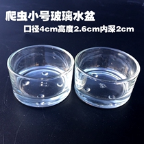 Acrylic reptile box Spider glass basin Food basin Scorpion palace guard lizard Pet Corn snake Landscape licking cup