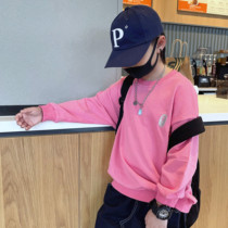 Day Ensemble Pink pink sweatshirt boy blouses Ape Embroidered children Long sleeves Baby Baby Coat Foreign Air Fried Street