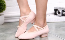 Dance shoes womens soft-soled practice shoes summer and spring adult teachers with mid-heel body belly national ballet shoes