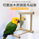 Parrot Myna Toy ກະຈົກ Tiger ຜິວຫນັງ Peony ການສຶກສາ Parrot ສາມາດຫ້ອຍໄມ້ແຂງ Stand Bird Toys ອຸປະກອນເສີມ Cage