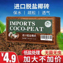 Large chunks of Desalinated Coconut-Nutritious Earth universal floral polybroccoli Broccoli Dedicated to Flowering Broccoli