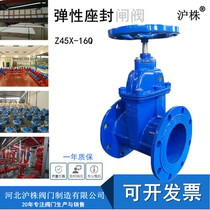 Soft seal gate valve concealed stem elastic seat seal gate valve tap water flange gate valve Z45X DN6580 100150