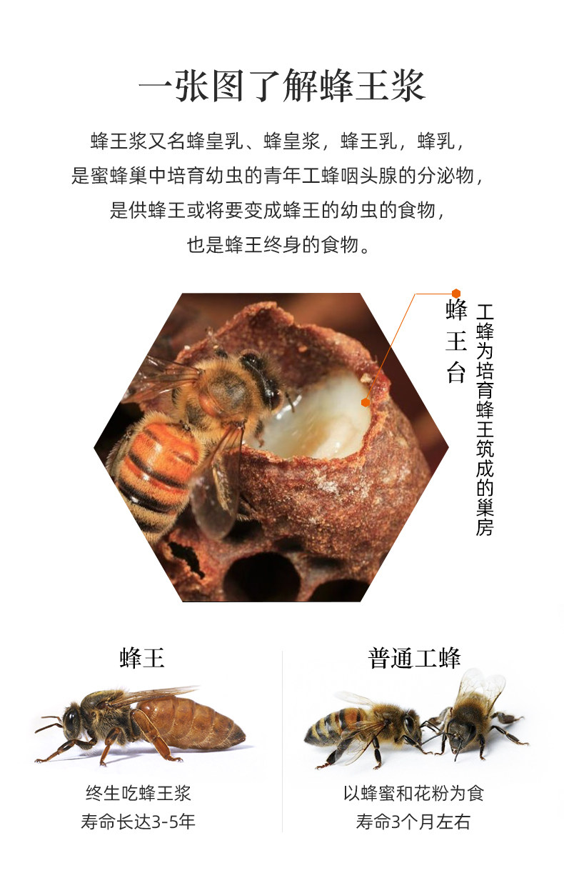 Wangpi 790 fonts_03.jpg